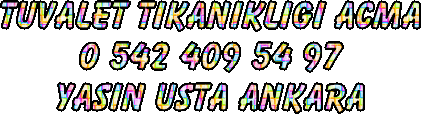 Ankara tuvalet tkankl ama