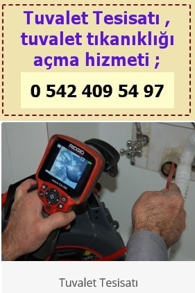 tuvalet tıkanıklığı açma